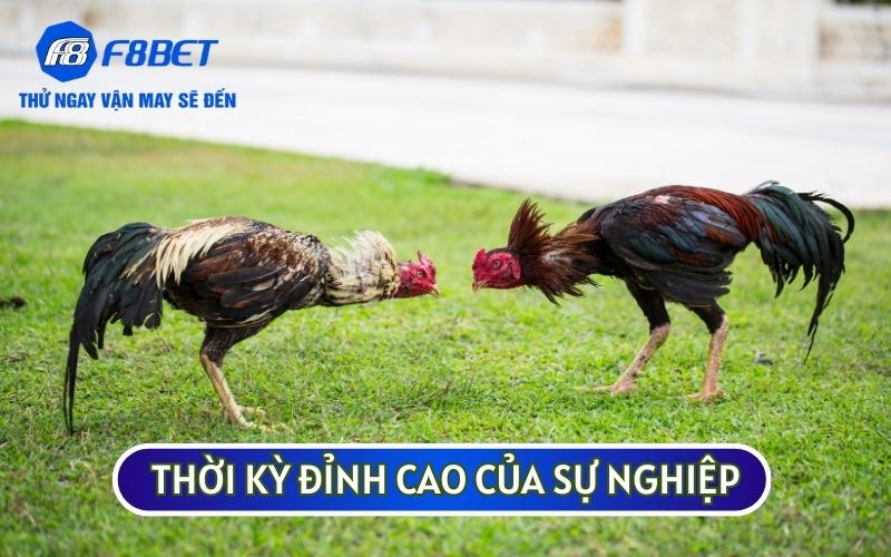 Thời kỳ đỉnh cao của hùng kê này bắt đầu từ năm 2003 đến 2006